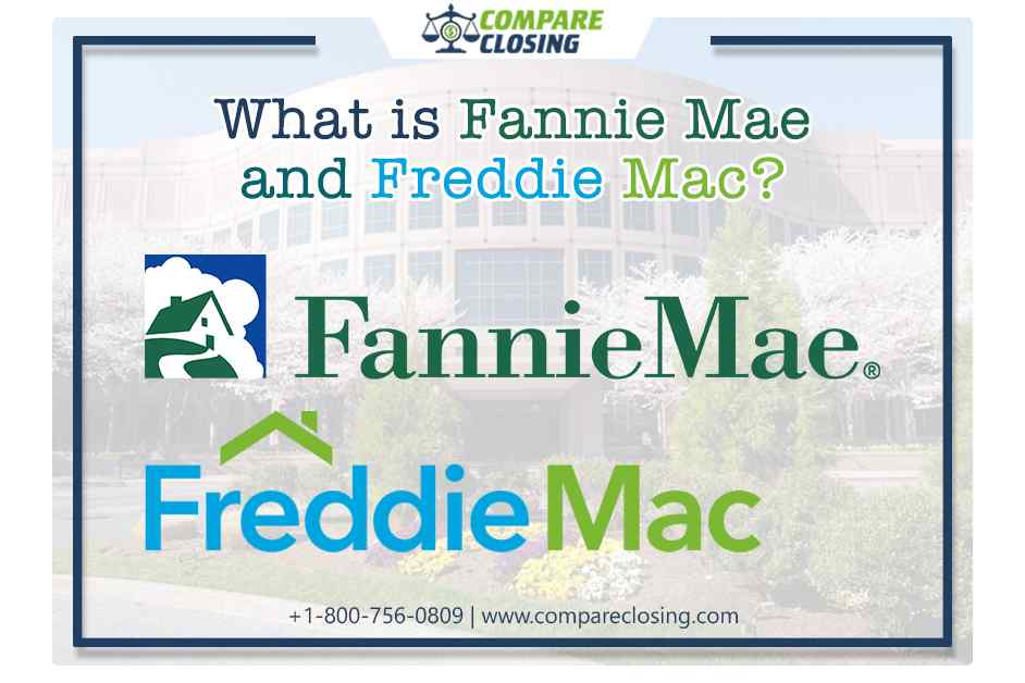 What Are Fannie Mae and Freddie Mac? – The Supreme Details