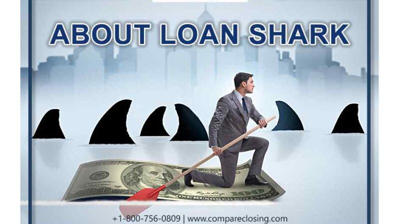 What is a Loan Shark? – Unlock The Shocking Truth About It