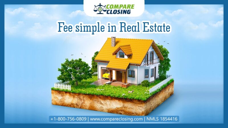 Top Guide To Fee Simple In Real Estate & The 2 Different Types