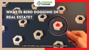 What Is Bird Dogging In Real Estate And Its Working? - Best Guide