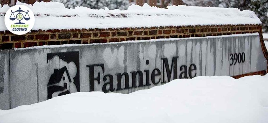 Steps For Mitigating The Stability Risk Of Fannie And Freddie