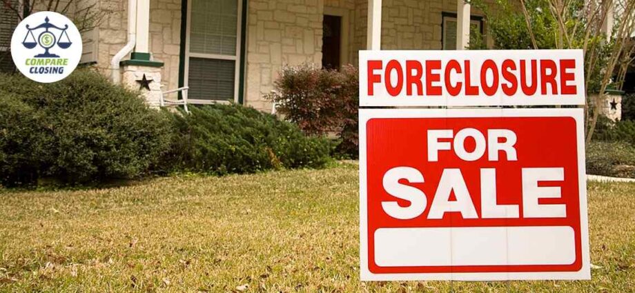 In Spite of Government Moratorium why did the Foreclosure Activity Grow?