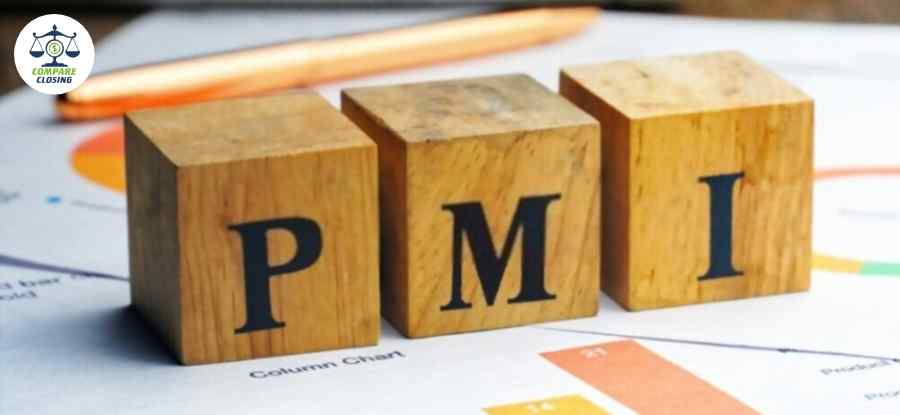 What Is PMI And All About It